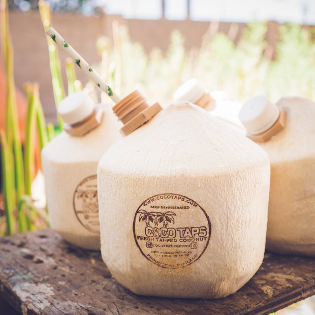 Fresh Tapped Coconut Delivery